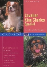 Cavalier King Charles Spaniel - Karin Biala-Gauss