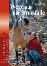 Wege aus der Stressfalle - Birgit van Damsen, Romo Schmidt