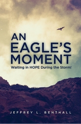 An Eagle's Moment - Jeffrey L. Benthall