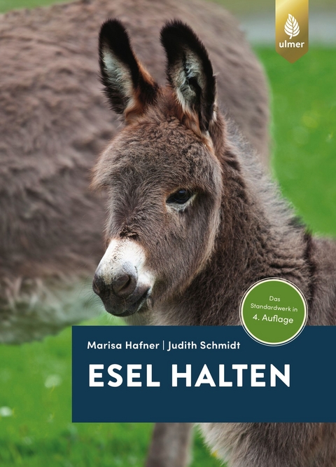 Esel halten - Marisa Hafner, Judith Schmidt