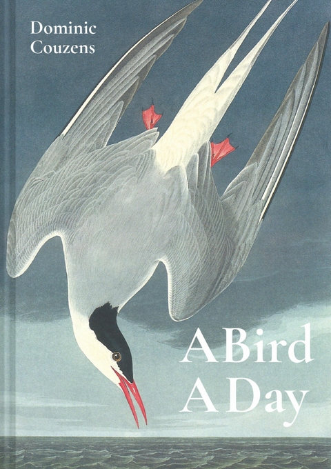 A Bird A Day -  Dominic Couzens