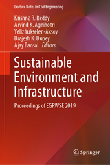 Sustainable Environment and Infrastructure - 