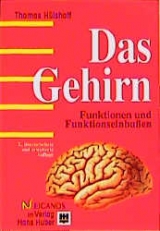 Das Gehirn - Thomas Hülshoff