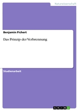 Das Prinzip der Verbrennung - Benjamin Pichert