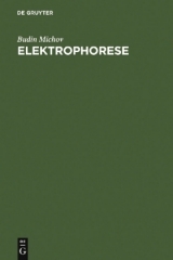 Elektrophorese - Budin Michov