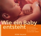 Wie ein Baby entsteht - Peter Tallack