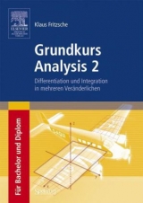 Grundkurs Analysis 2 - Klaus Fritzsche