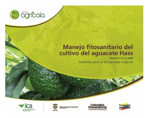 Manejo fitosanitario del cultivo del aguacate Hass (Persea americana Mill) medidas para la temporada invernal - Instituto Colombiano Agropecuario