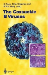 The Coxsacki B Viruses - 