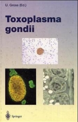 Toxoplasma gondii - 