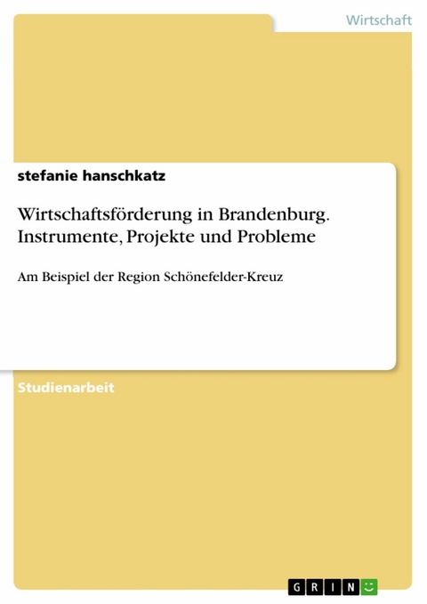 Wirtschaftsförderung in Brandenburg. Instrumente, Projekte und Probleme - stefanie hanschkatz