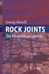 Rock Joints - Georg Mandl