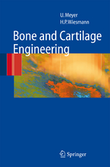 Bone and Cartilage Engineering - Ulrich Meyer, Hans Peter Wiesmann