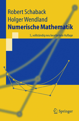 Numerische Mathematik - Schaback, Robert; Wendland, Holger