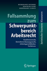 Fallsammlung zum Schwerpunktbereich Arbeitsrecht - Burkhard Boemke, Joachim Luke, Bernhard Ulrici