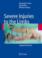 Severe Injuries to the Limbs - Alexander Lerner, Daniel Reis, Michael Soudry