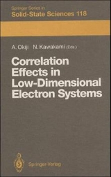 Correlation Effects in Low-Dimensional Electron Systems - 