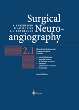 Surgical Neuroangiography - Alejandro Berenstein, Pierre Lasjaunias, Karel G. brugge