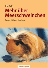 Mehr über Meerschweinchen - Pelz, Ilse