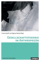 Gesellschaftstheorie im Anthropozän -  Dipesh Chakrabarty,  Benno Fladvad,  Jürgen Scheffran,  Henning Laux,  Sighard Neckel,  Barbara Muraca