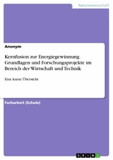 Kernfusion zur Energiegewinnung. Grundlagen und Forschungsprojekte im Bereich der Wirtschaft und Technik