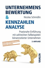 Unternehmensbewertung & Kennzahlenanalyse -  Nicolas Schmidlin