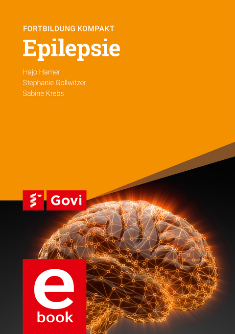 Epilepsie - Hajo Hamer, Stephanie Gollwitzer, Sabine Krebs