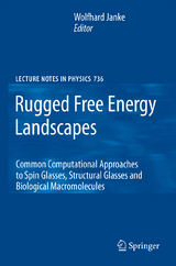 Rugged Free Energy Landscapes - 