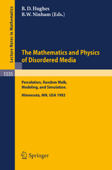 The Mathematics and Physics of Disordered Media - 