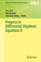 Progress in Differential-Algebraic Equations II - 