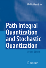 Path Integral Quantization and Stochastic Quantization - Michio Masujima