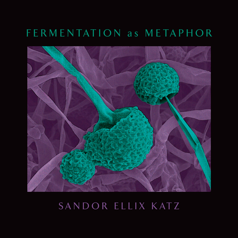 Fermentation as Metaphor -  Sandor Ellix Katz