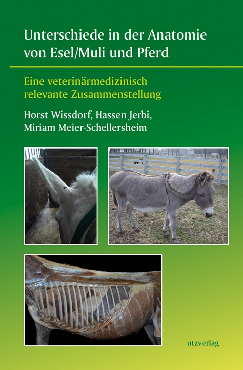 Unterschiede in der Anatomie von Esel/Muli und Pferd -  Horst Wissdorf,  Hassen Jerbi,  Miriam Meier-Schellersheim