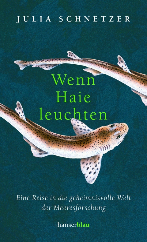 Wenn Haie leuchten - Julia Schnetzer