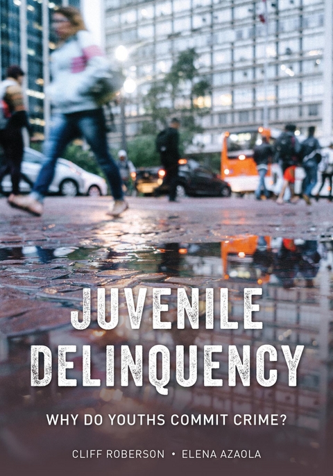 Juvenile Delinquency -  Elena Azaola,  Cliff Roberson