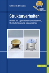 Strukturverhalten - Gottfried W. Ehrenstein