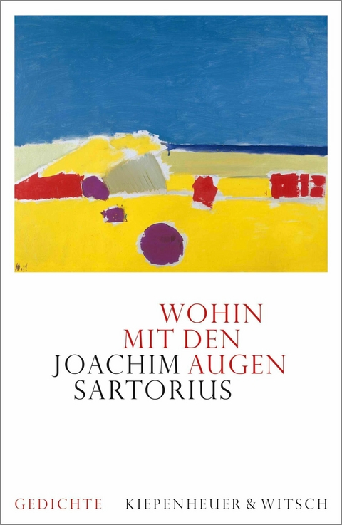 Wohin mit den Augen -  Joachim Sartorius