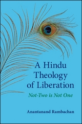 Hindu Theology of Liberation -  Anantanand Rambachan