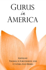 Gurus in America - 