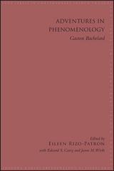 Adventures in Phenomenology - 