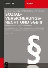 Sozialversicherungsrecht und SGB II - Stefan Greiner, Gülay Celik, Felipe Temming, Daniel Ulber, Stephan Seiwerth