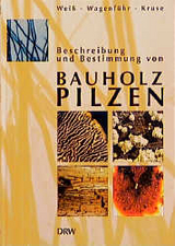 Beschreibung und Bestimmung von Bauholzpilzen - Björn Weiss, André Wagenführ, Kordula Kruse