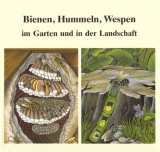 Bienen, Hummeln, Wespen im Garten und in der Landschaft - Helmut Hintermeier, Margrit Hintermeier