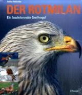 Der Rotmilan - Adrian Aebischer