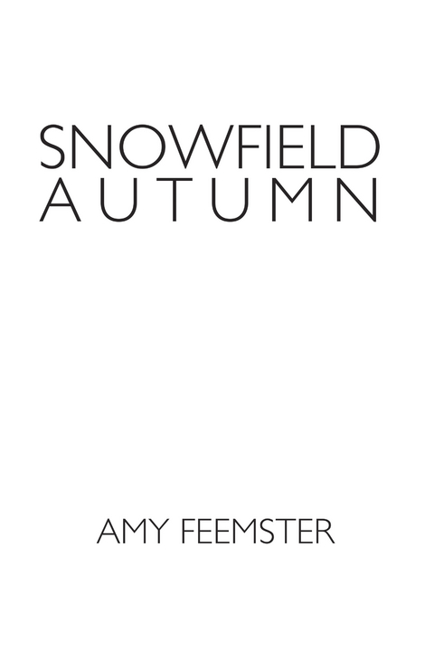 Snowfield Autumn