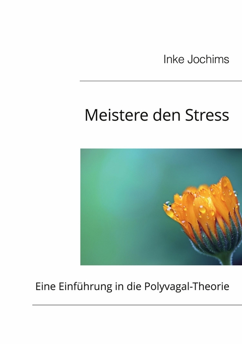 Meistere den Stress -  Inke Jochims