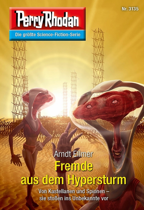 Perry Rhodan 3135: Fremde aus dem Hypersturm - Arndt Ellmer