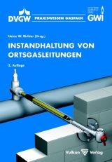 Instandhaltung von Ortsgasleitungen - Richter, Heinz W