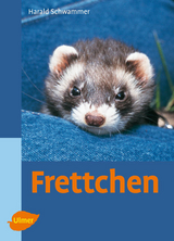 Frettchen - Schwammer, Harald