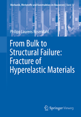 From Bulk to Structural Failure: Fracture of Hyperelastic Materials - Philipp Laurens Rosendahl